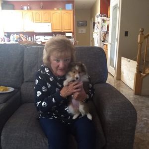 Meet your Posher, Virginia